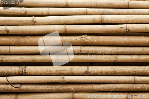 Image of Bamboo sticks background