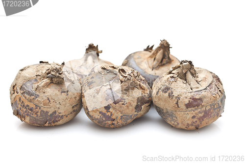 Image of Water chestnuts isolated on white background