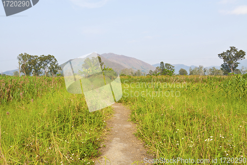 Image of Lane in meadow under blue sky