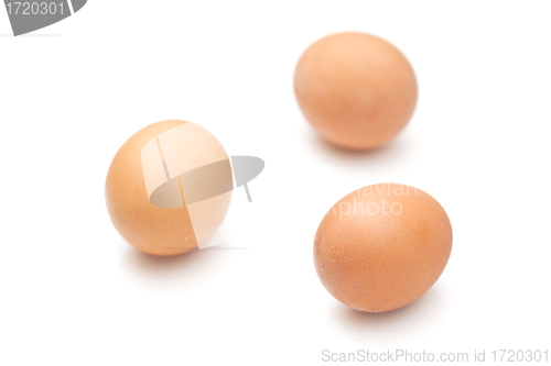 Image of Eggs isolated on white background