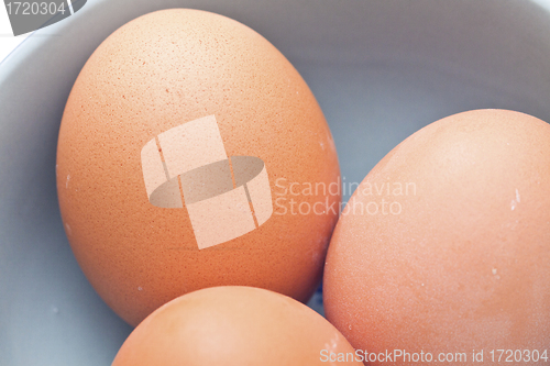 Image of Eggs isolated on white background