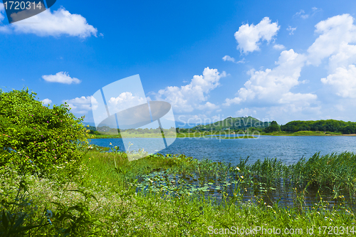 Image of Wetland lake landscape 