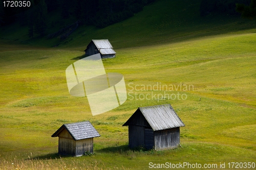 Image of Meadow