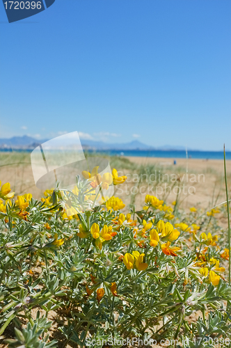 Image of Mediterranean spring