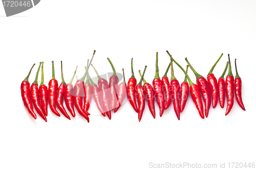 Image of Chilli isolated on white background