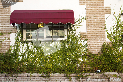 Image of Luxury window and wall in a garden