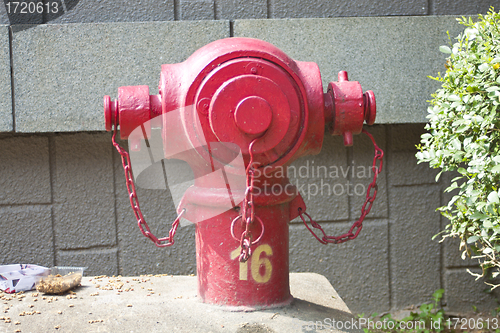 Image of A fire hydrant