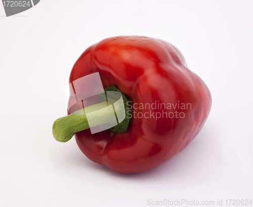 Image of Red pepper