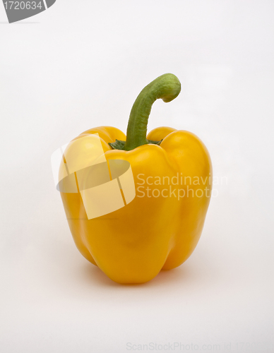 Image of Yellow pepper