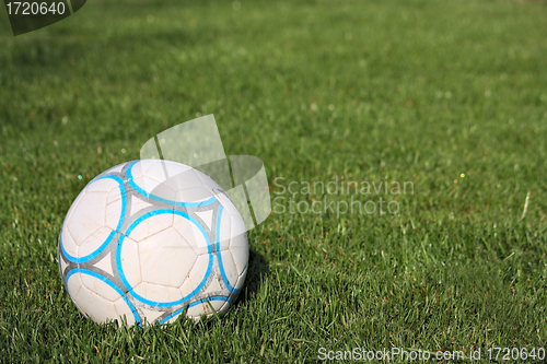 Image of Soccer ball on the green grass