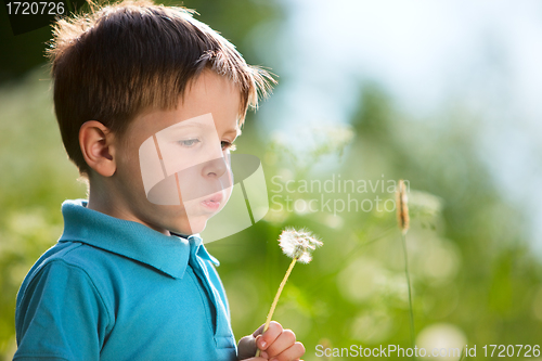 Image of Boy with dandelion