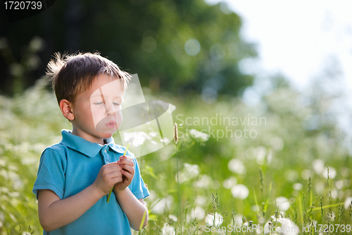 Image of Boy with dandelion