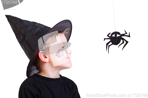 Image of Boy in witch hat and black spider