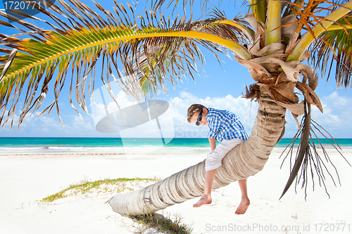 Image of Little boy sitting on palm