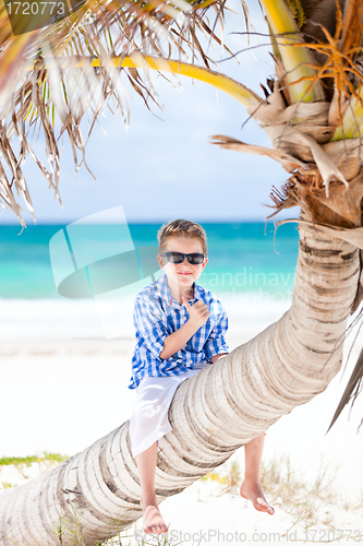 Image of Little boy sitting on palm