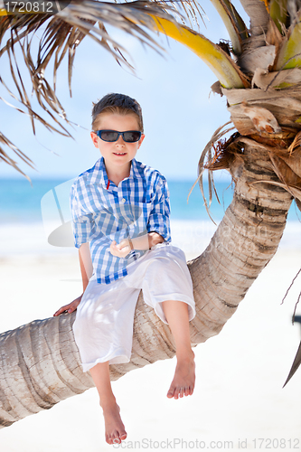 Image of Little boy sitting on palm