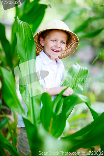 Image of Safari boy