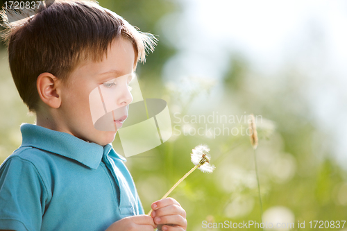 Image of Boy with dandelion