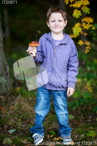 Image of Boy with wild mushroom in forest