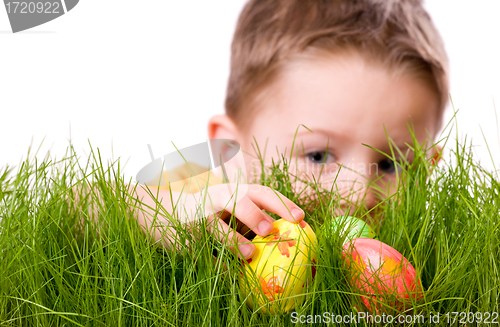 Image of Easter egg hunt