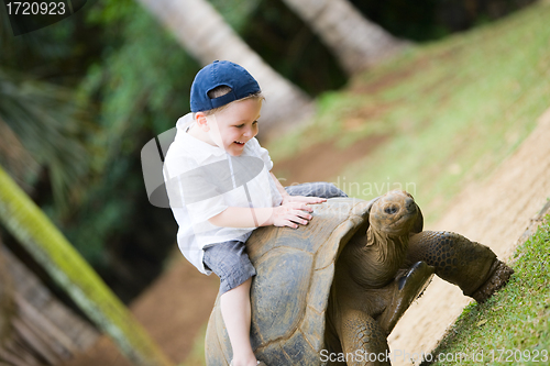 Image of Riding Giant Turtle