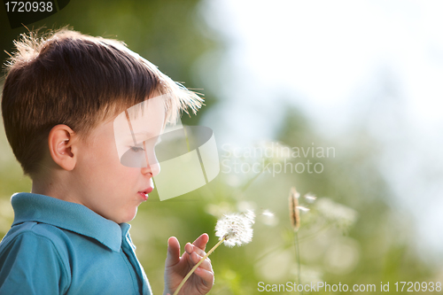 Image of Boy with dandelion