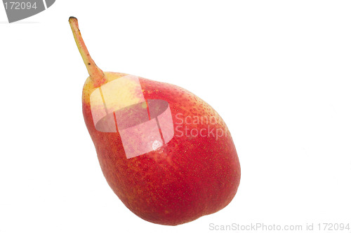 Image of desert pear