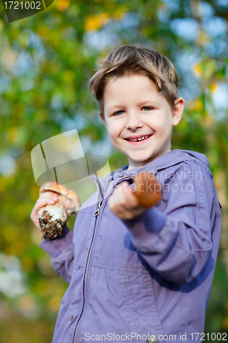 Image of Happy boy with wild mushrooms