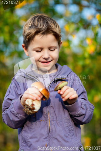 Image of Happy boy with wild mushrooms