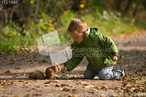 Image of Little boy and squirrel