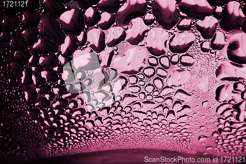 Image of Green drops of water - light from backside. Macro