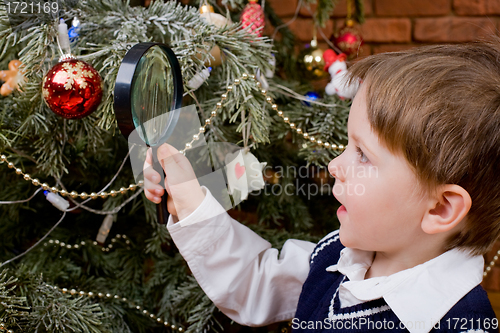 Image of Exploring Christmas tree