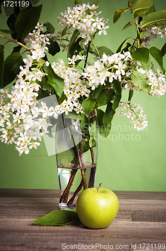 Image of Bouquet of a blossoming bird cherry in a vase on a table