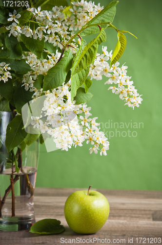 Image of Bouquet of a blossoming bird cherry in a vase on a table