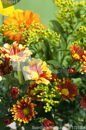 Image of a bouquet of summer flowers, close-up