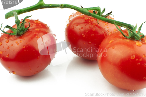 Image of Tomatoes on stem close up