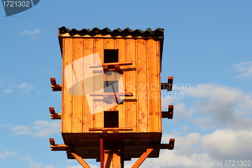 Image of pigeon wooden house