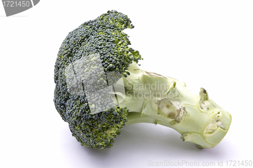 Image of Fresh Broccoli 