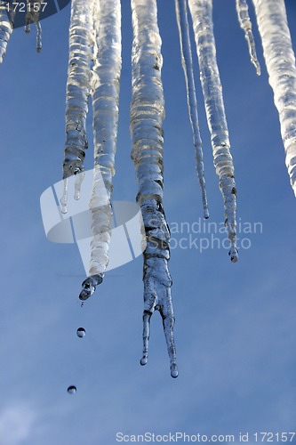 Image of Icicles