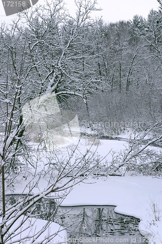 Image of Snowy River