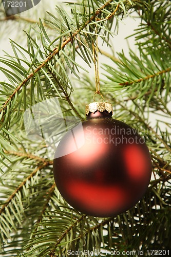 Image of Christmas ornament