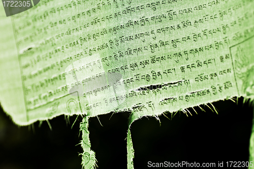 Image of prayer flag of Tibet