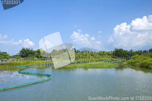 Image of Wetland pond in Hong Kong at day