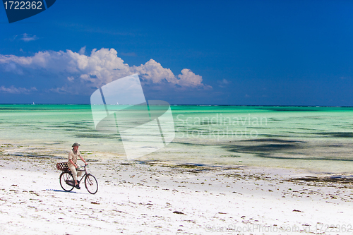 Image of Cycling along tropical beach