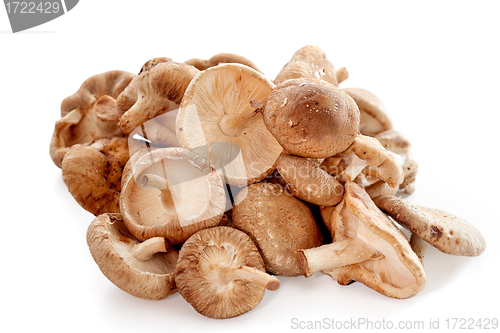 Image of Shiitake mushrooms