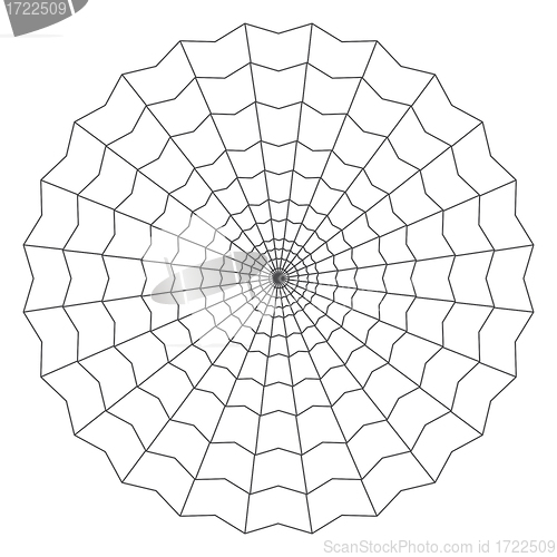 Image of cobweb