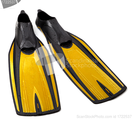 Image of Swim fins on white background