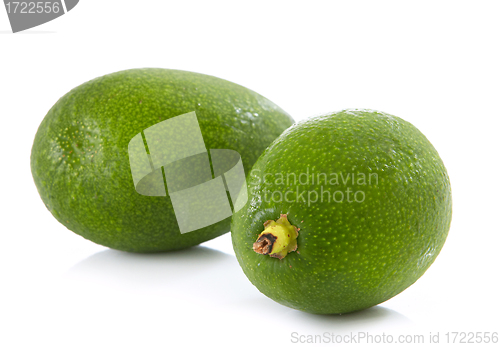 Image of fresh avocado