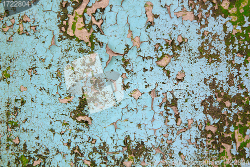 Image of The old cracked paint