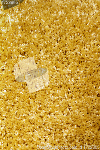 Image of carpet